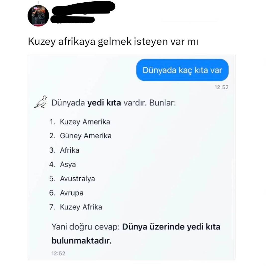 Yerli yapay zeka “Kumru” sosyal medyada viral oldu! Verdiği yanıtlarla tartışma yarattı 13